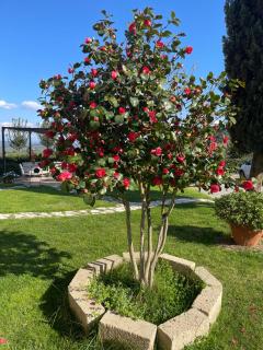 Casa Isabelle - Canneto - 5