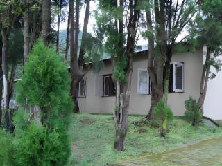 New Dakshinkali Village Resort - 1