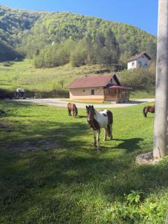 Ranch Jajce - 2