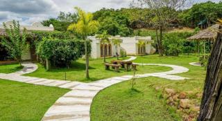 Dandelion Resort - 2