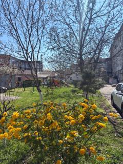 Cozy Central Park apartment - Chişinău - 2
