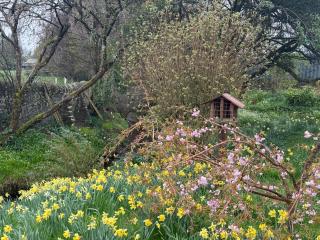 Garden Studio for Two - 9