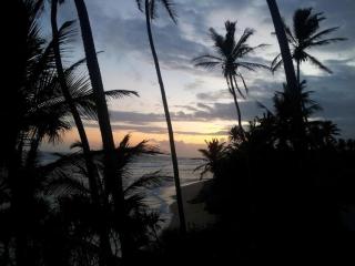 Savenrose Beach Villa - 1