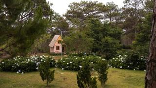 Rừng Lá Kim Resort - Dalat - 2