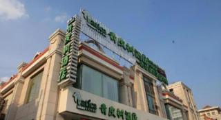 Vatica Shanghai International Tourism Resort Luoshan Road Subway Station Hotel - 7