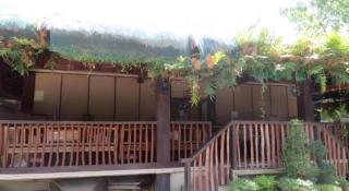 Paseo Verde Beach Resort - 5