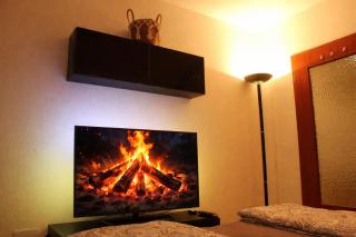 Comfortable Apartment on Elbe River - 1