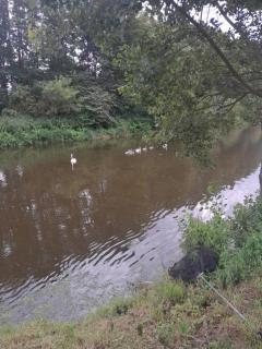 Stellplatz für Wohnwagen Wohnmobil - 0