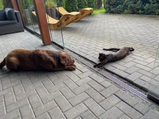 Ferien-Landleben - 2