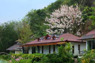 Phumalida Resort - 9