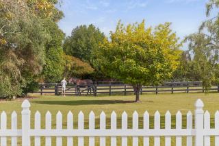 Homely Haven in Hope - Park-like setting - 9