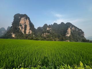 Homestay Hoàng Tuấn - 2