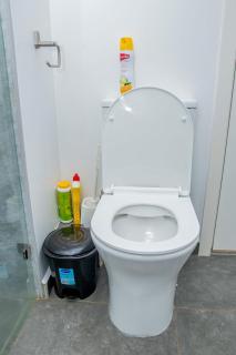 The Spring Collection - 8