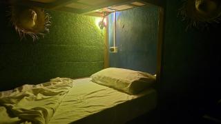 Lucy's Diner Hostel Cafe - 8