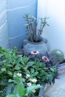 Malva Home in the center of Rethymno - 2