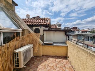 Sea Star to the Sea Garden-Studio - 4