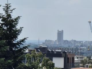 Sea Star to the Sea Garden-Studio - 3