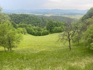 River & Forest Escape, Private Garden Room near Ljubljana - 0