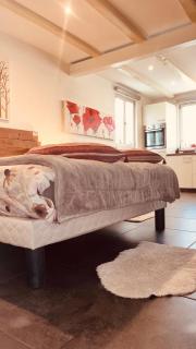 Gîtes De La Bonne Etoile - 1