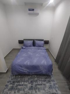 Superbe appartement, idéal pour vos séjours ! - 2