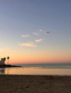 Amazing penthouse on the beach, sea views, WIFI, airconditioning and parking - 8