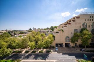 Spectacular 3BDR Duplex Panoramic Old City View - 3