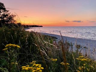 Sommerhus, Hornbæk - 9
