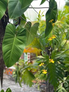 Chambre indépendante - 2