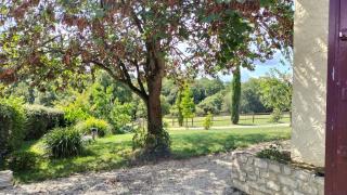 Charmant Gîte en pleine nature - 1
