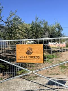 Villa Theros - 9
