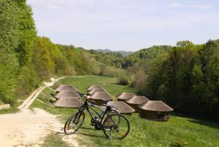 Glamping Bionic healing village - 5