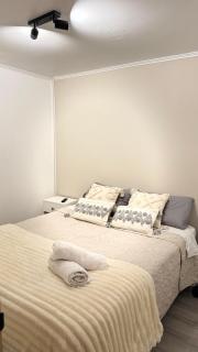 Departamento acogedor y moderno Temuco - 4