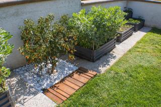 GinKgo B&B - 1