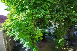 Modern & Sunny 2BR - Nivy Bus Station 2min - Fast Wifi - Balcony with view - Close to old town - 3