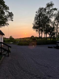 Silverkatts katthus - 5