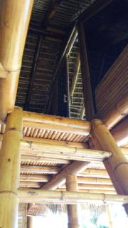 caveau des lemuriens - 4