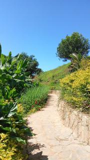 caveau des lemuriens - 2