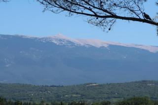 Villa design Mazanel, piscine, vue Mont Ventoux et plaine, climatisation - 8