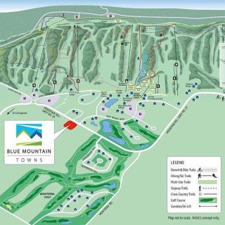 Blue Mountain Views Luxurious 3 bdrm Chalet - 3