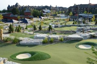 Blue Mountain Views Luxurious 3 bdrm Chalet - 2