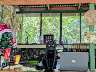 Smile Jungle Hostel - 0