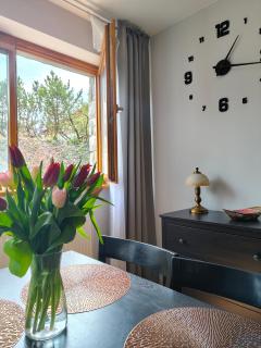 MOKKA SILVER Spa&Ski Apartamenty w Kompleksie Viva Maria - 8