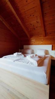 Chalet & Spa with Sauna near Nassfeld - 3