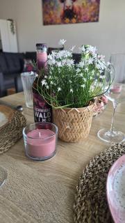Alpenblick Rickenbach Familienfreundlich FeWo Hunde willkommen Terrasse - 2