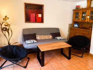 Vallée de Chamonix au pied des pistes - 8