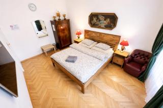 Central and Parking Assistance - Praga - 8