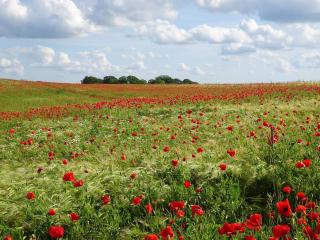 6 person holiday home in Slagelse - 6