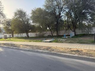 White Moon Studio jimi - 2