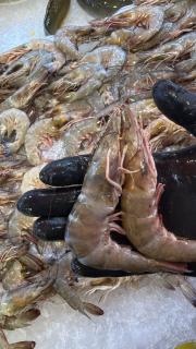 هلنان بورفؤاد - 3