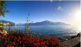 Élégante chambre au cœur de Lausanne - 4